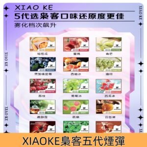XIAOKE梟客五代煙彈 梟客可替換式五代電子煙